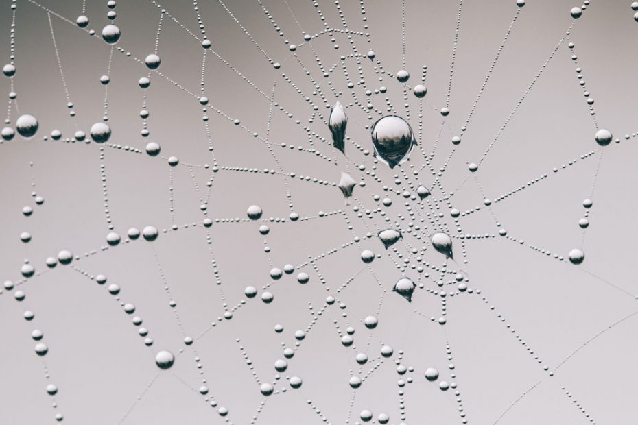 Top 5 Web Design